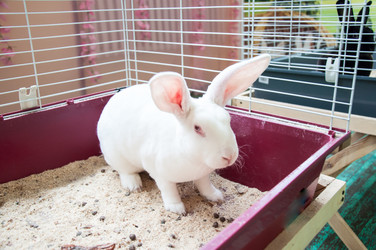 Similar image 5503523