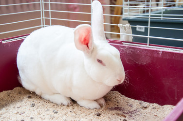 Similar image 5503524