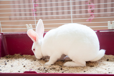 Similar image 5503526