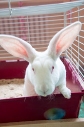 Similar image 5503527