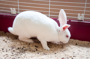 Similar image 5503528