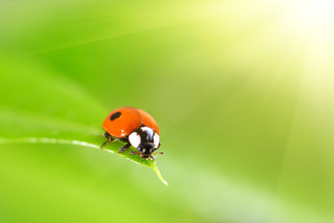 Similar image 5503663