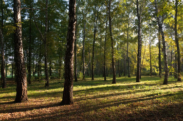 Similar image 5503689