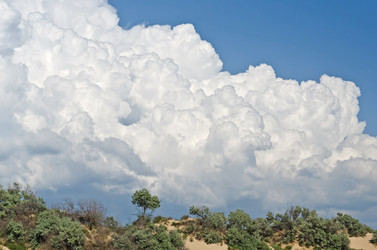 Similar image 5503690