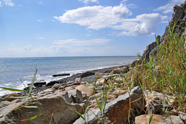 Similar image 5503691