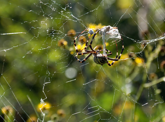 Similar image 5503692