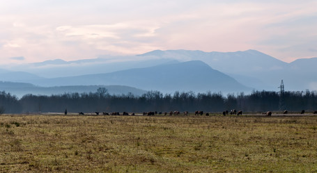 Similar image 5503702