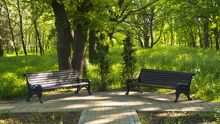 Similar image 5503709