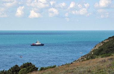 Similar image 5503710