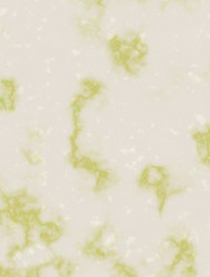 Similar image 5503736