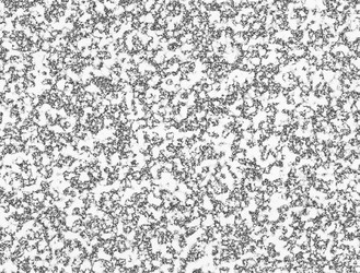 Similar image 5503765