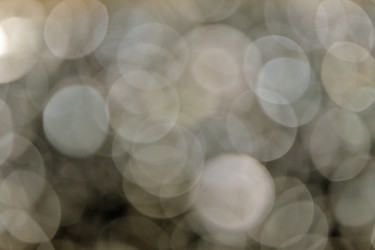 Similar image 5503788