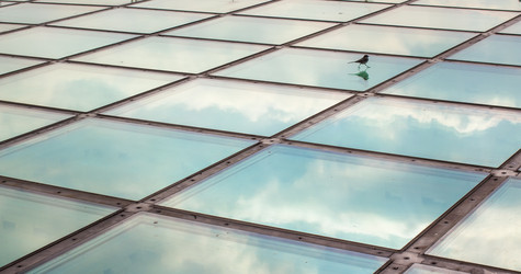 Similar image 5503802