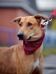 Similar image 5503826