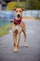 Similar image 5503827