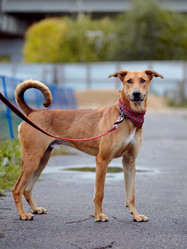 Similar image 5503828