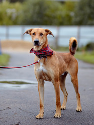 Similar image 5503829