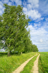 Similar image 5503945