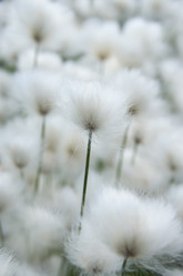 Similar image 5503946