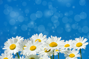 Similar image 5503947