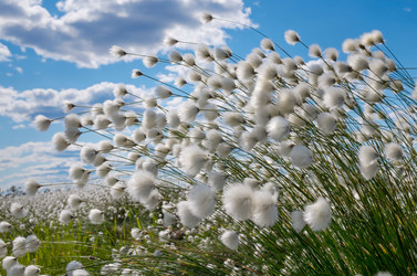 Similar image 5503949