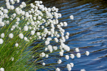 Similar image 5503950