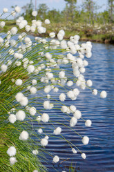 Similar image 5503951