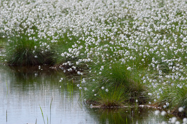 Similar image 5503954