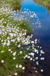 Similar image 5503956