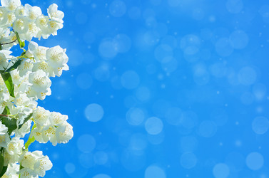 Similar image 5503958