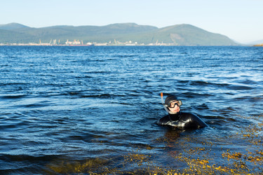 Similar image 5504052