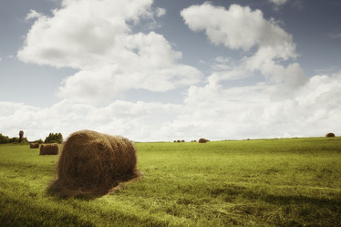 Similar image 5504330