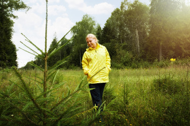 Similar image 5504332