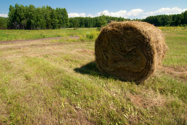 Similar image 5504400