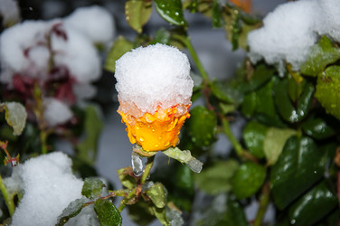 Similar image 5504417