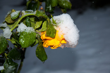 Similar image 5504421