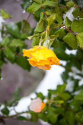 Similar image 5504423