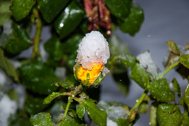 Similar image 5504425