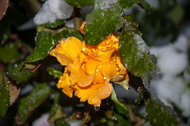 Similar image 5504426