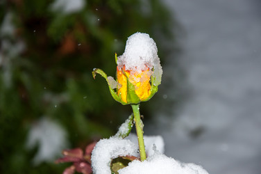 Similar image 5504427