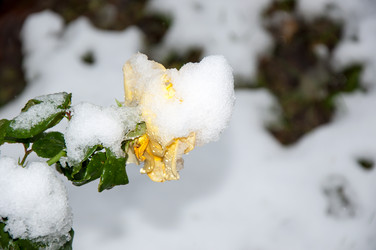 Similar image 5504428