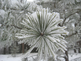 Similar image 5504452