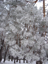 Similar image 5504454