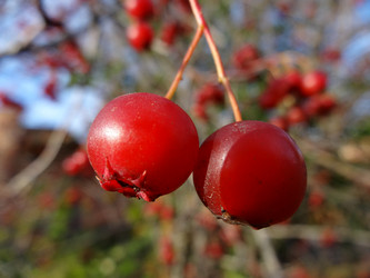 Similar image 5504521