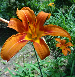 Similar image 5504522