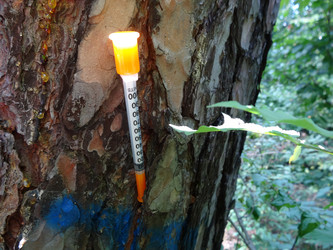 Similar image 5504525