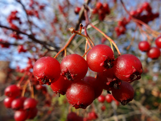 Similar image 5504527