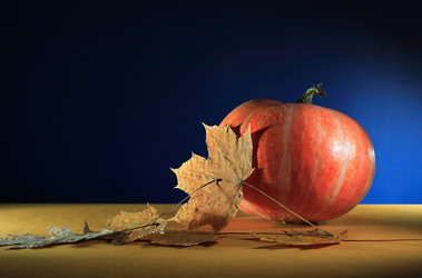 Similar image 5504529