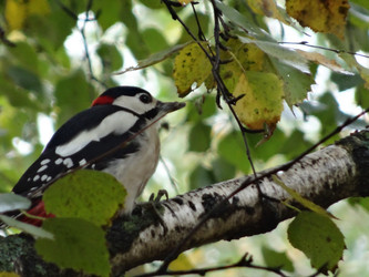 Similar image 5504536