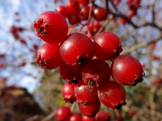 Similar image 5504537